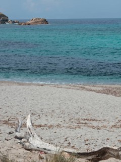 A quiet beach with driftwood in the foreground and the sea and rocks in the background, ajaccio,