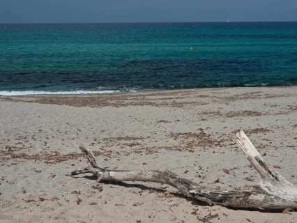 A sandy beach with a piece of driftwood and clear, turquoise-coloured sea under a cloudy sky,