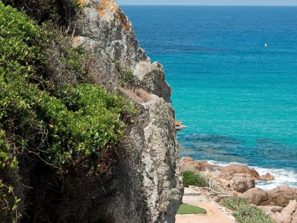 Rocks near a clear ocean with dense vegetation and blue water, ajaccio, corsica, france