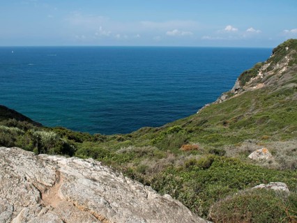 Rocks and vegetation at the edge of the deep blue sea under a blue sky, ajaccio, corsica, france