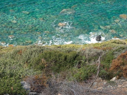 Clear turquoise waters and rocky coastline, green plants and gentle sea, ajaccio, corsica, france