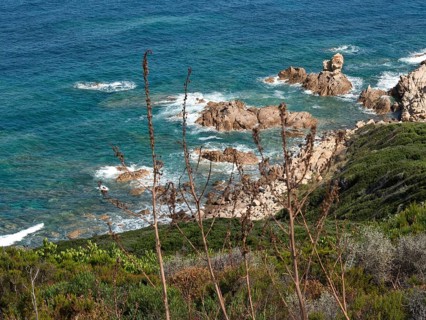 View of a rocky coastline with wild waves, surrounded by green bush in a natural and rugged
