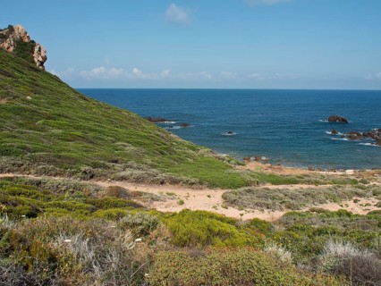 A green hill stretches down to the coast, with the sea and some rocks visible in the background,