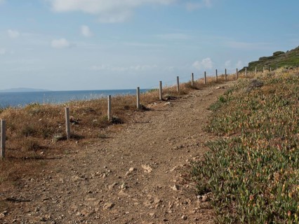 Path along a coastline with railings, plants and a view of the sea under a blue sky, ajaccio,