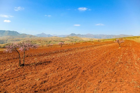 Big field in the kingdom of Lesotho