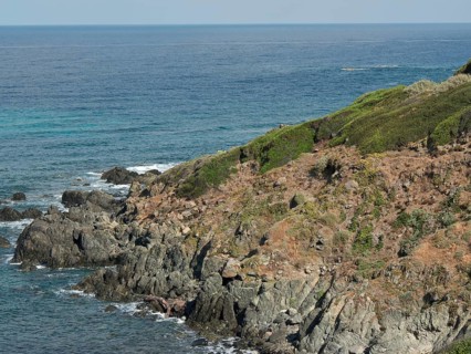 Coastal landscape with rocky shore and green vegetation, the sea is calm and the sky is blue,
