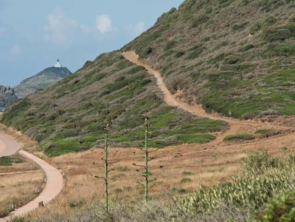 Winding hiking trails through green hills and bushes, with a lighthouse in the distance, ajaccio,
