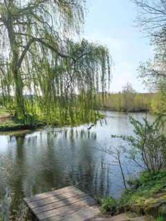 A quiet river with a small wooden footbridge, surrounded by green trees and willows hanging over