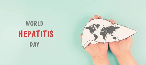 Liver organ infected with virus, world hepatitis day, diagnosis of cancer, cirrhosis health issue,