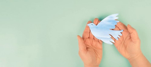 Dove flying from hand, international peace day, faith, freedom, charity and help concept,