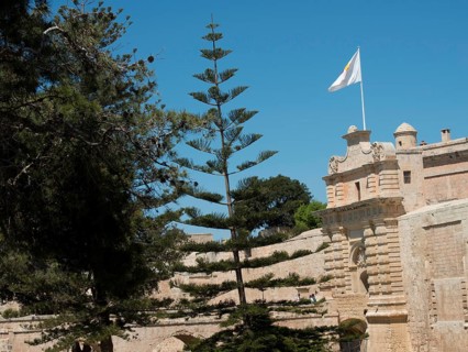 Historic fortress with stone wall, waving flag and tall trees against a blue sky, mdina,