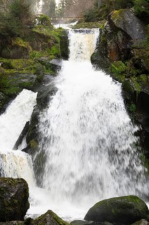 Triberg waterfall in the Black Forest, highest fall in Germany, Gutach river plunges over seven