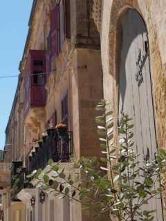 Side view of historic building facades with balconies and windows and a green plant in the