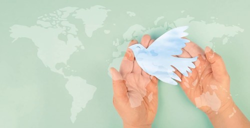 Dove flying from hand, international peace day, faith, freedom, charity and help concept,