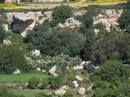 Mediterranean landscape with many rocks and lush vegetation under a sunny sky, mdina, mediterranean