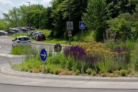 Flowering traffic island, flowering area, roundabout, road traffic, car, zebra crossing, housing