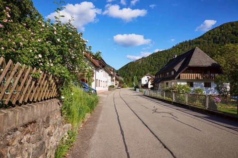 Street with houses, hunter's fence and hedge roses in the historic district of Geschwend, Todtnau,