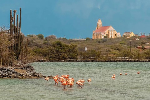 View at dusk over lagoon with flamingos to Sint Willibrordus church built between 1884 and 1888 in
