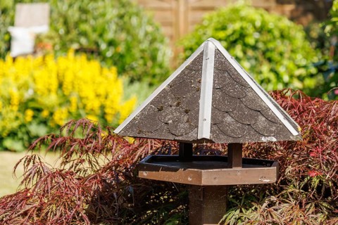 A small birdhouse with a shingle roof in a colourful garden, Borken, Münsterland, North