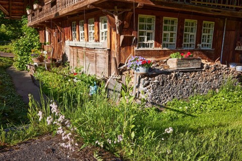 Details of an old Black Forest house with woodpile, windows and planters from a frog's-eye view