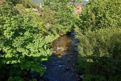 Prägbach near the district of Geschwend, Todtnau, Black Forest, district of Lorrach,