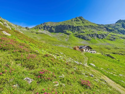 Landawirseehütte with Samspitze and alpine roses, Landawirsee blue sky, Schladminger Tauern,