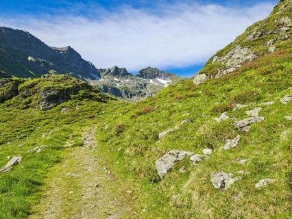 On the way to Landawirsee, Alpenrosen, Goriachtal, Scharnock, Krautgartscharte, Schladminger