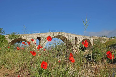 Roman stone arch bridge Pont Julien built 3rd century over the river Calavon with poppies, Roman