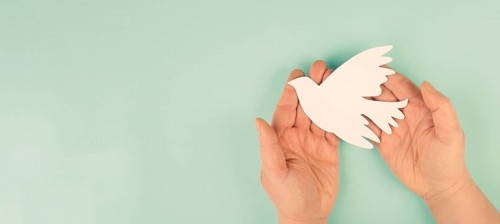 Dove flying from hand, symbol of peace and faith, freedom, charity and help concept, humanitarian