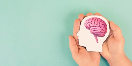 Holding a brain in the hands, Parkinson disease, Alzheimer awardness, mental disorder dementia,