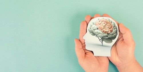 Hands holding head, human brain grows from tree, self care and mental health concept, positive