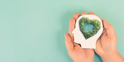 Trees and plants forming a heart, planet earth, green forest and woodland, environment concept,