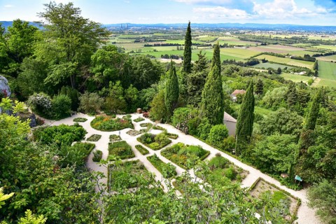 Herb garden in the commune of La Garde-Adhémar in the Département of Drôme in the