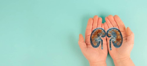 Kidney organ disease, world kidney day, health problems, donation and transplantation, medical