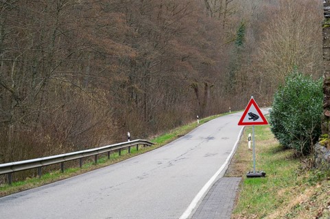 Toad crossing to spawning ground road sign, warning mating season of amphibian animal, wildlife in