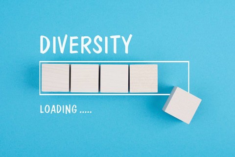 Diversity loading, inclusion, equity and human rights, fairness and respect, no discrimination and