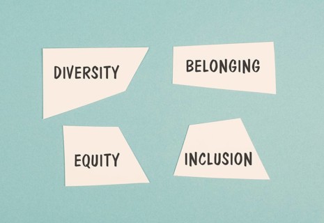 Diversity, equity, belonging and inclusion, human rights, fairness and respect, no discrimination