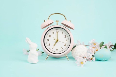 Cute easter bunny or rabbit with an alarm clock, eggs and cherry blossoms, spring holiday, greeting