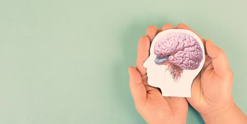Holding a brain in the hands, Parkinson disease, Alzheimer awardness, mental disorder dementia,