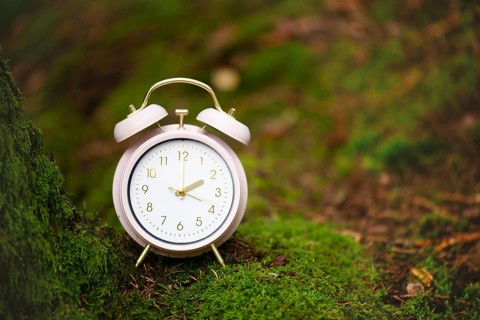 Alarm clock in the green forest, switch to daylight saving time in spring, summer time changeover