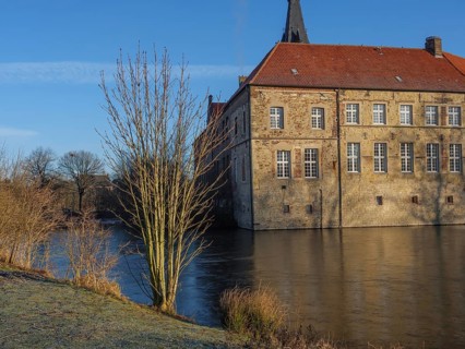 Side view of a historic moated castle with a red roof and a tree on the bank of the pond,