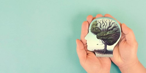 Holding human brain tree in the hands, self care and mental health concept, positive thinking,