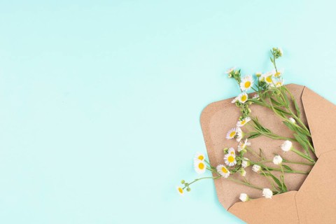 Envelope with daisy flowers, greeting card for mother and grandmother, birthday in summer, gift