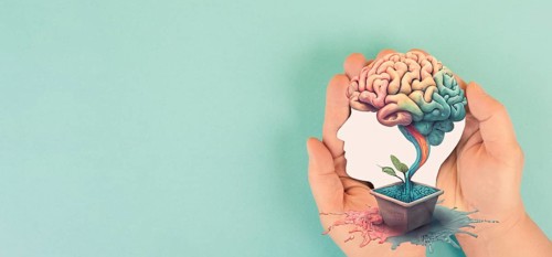 Hands holding paper head, human brain grows from tree, self care and mental health concept,