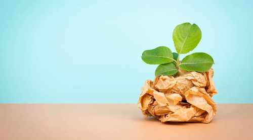 Plant growing from a crumbled recycled paper, protection of the eco system, zero waste, sustainable