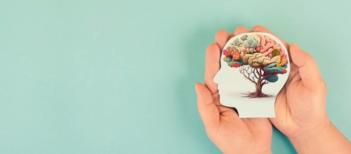 Hands holding paper head, human brain with flowers, self care and mental health concept, positive