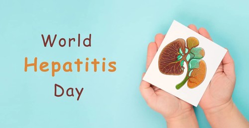 Liver organ, world hepatitis day, diagnosis of cancer, cirrhosis, health issue