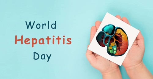 Liver organ, world hepatitis day, diagnosis of cancer, cirrhosis, health issue, liver made with