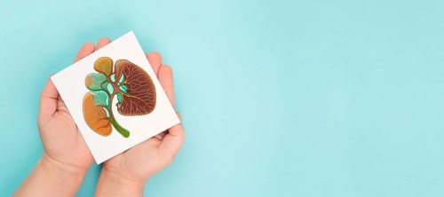 Liver organ, world hepatitis day, diagnosis of cancer, cirrhosis, health issue