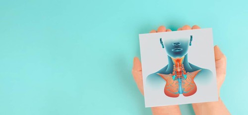 Holding thyroid organ in the hands, hyperthyroidism and hypothyroidism, health issues, cancer,